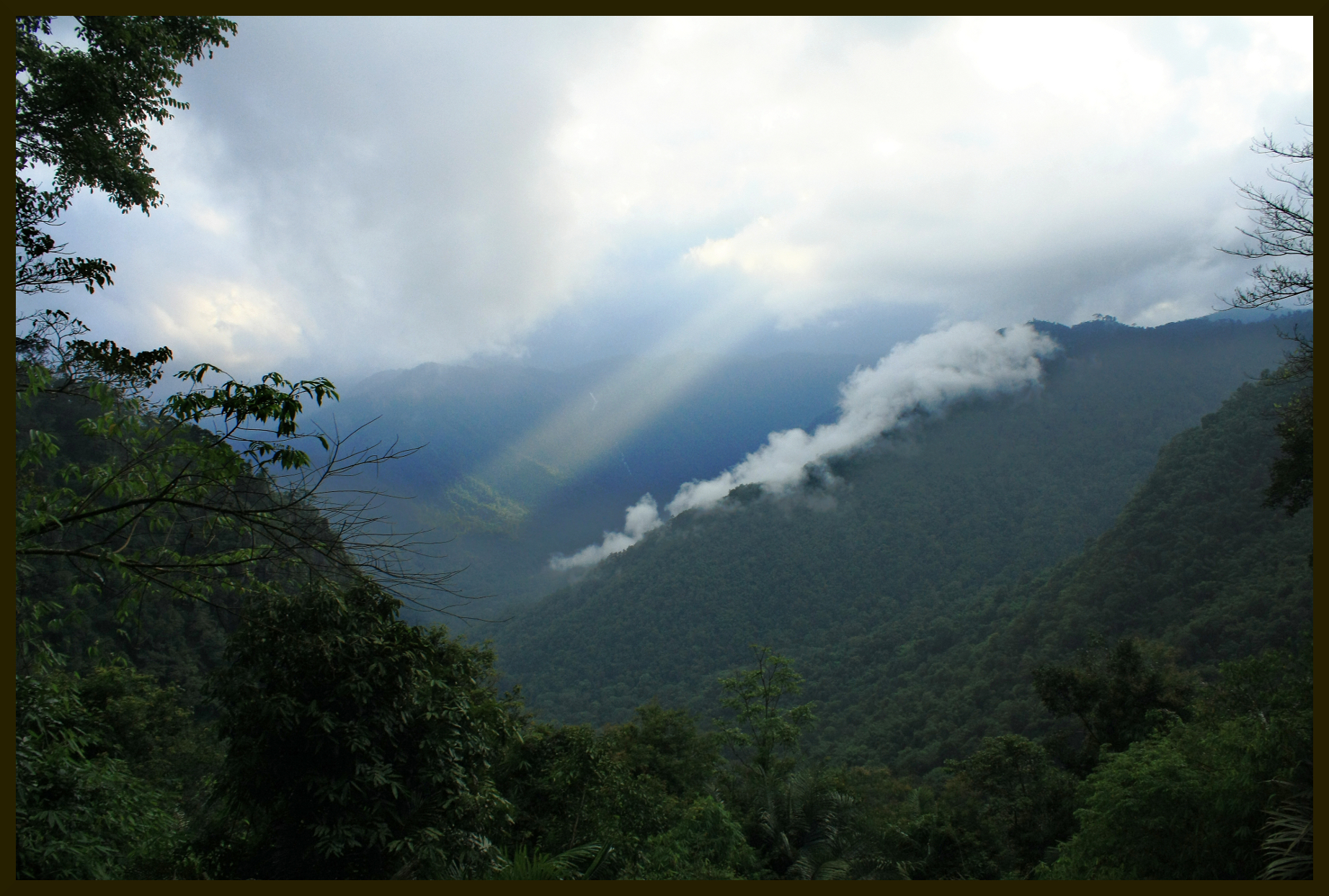 Kerala Monsoon | Indian Press A lush green valley is partially obscured by clouds and sunlight during the monsoon season in Kerala, India.
