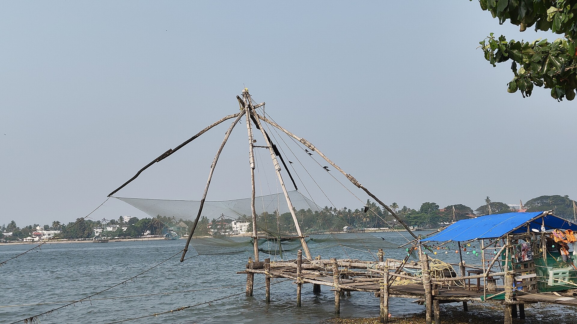 Kerala Coastline | Indian Press Chinese fishing nets extend over the water near Fort Kochi, Kerala, highlighting India's historic trade routes.