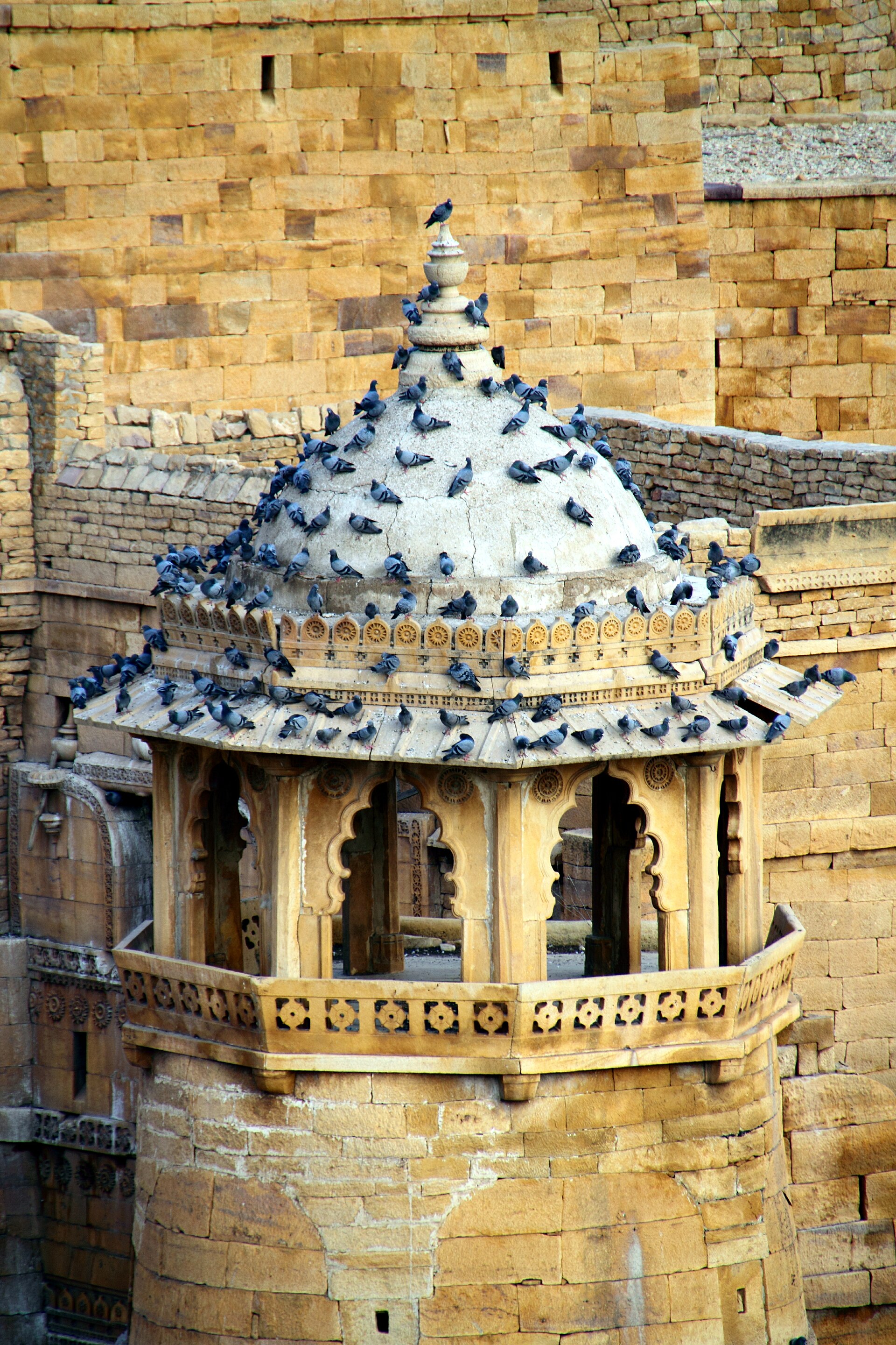 Jaisalmer Fort | Indian Press A sandstone tower covered with pigeons stands against the wall of Jaisalmer Fort in Rajasthan, India.